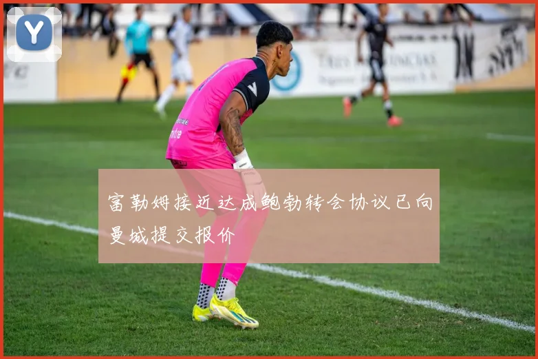 富勒姆接近达成鲍勃转会协议已向曼城提交报价